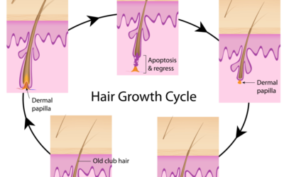 How long do lash extensions last?